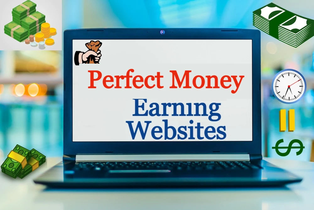 Best Perfect Money Earning Websites List